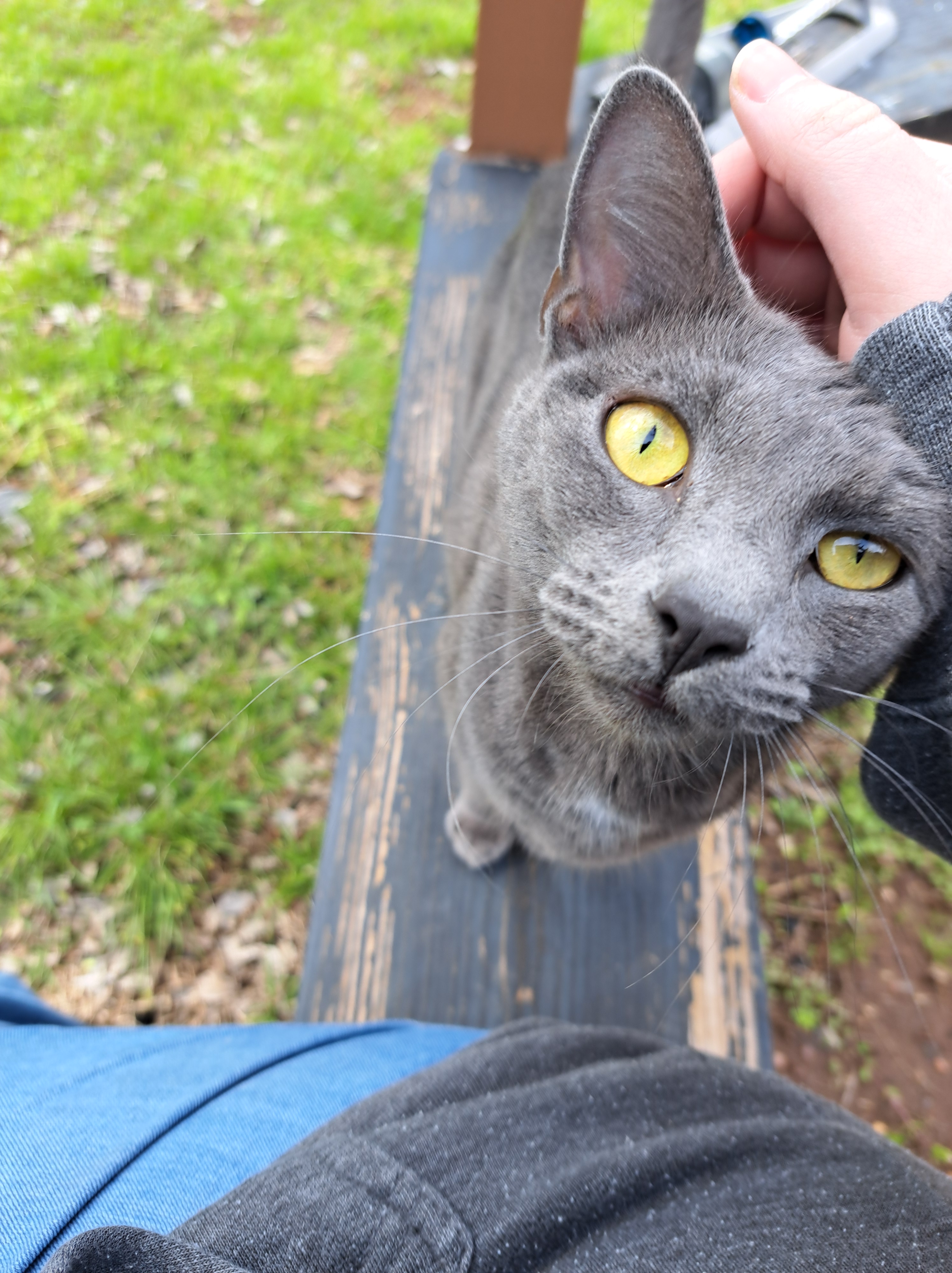 Peii, she who cannot be bothered.